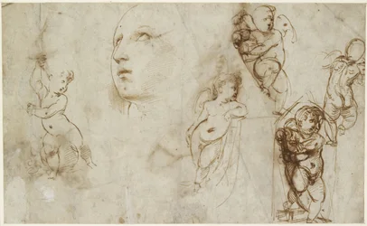 Ein weiblicher Kopf für Borghese-Beckford St. Catherine und verschiedene Putti, WA1846.177